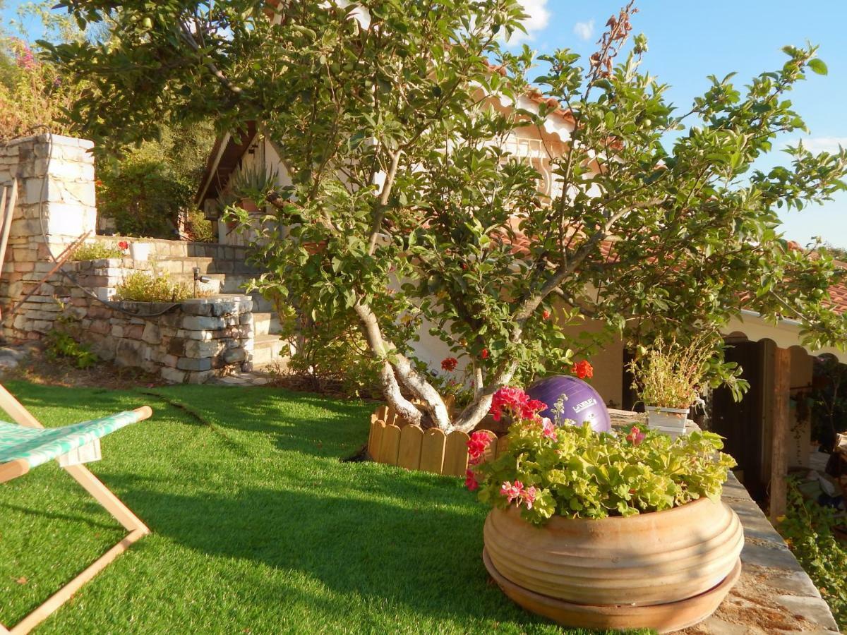 Palmina Mare Villa And Studios Paralia Vrachou Exteriör bild